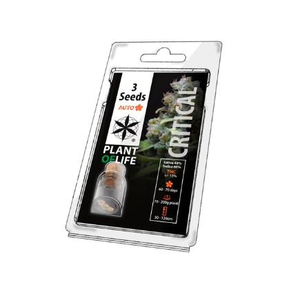 Plant of Life Critical Auto - 3 Feminised Seeds