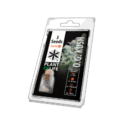 Plant of Life OG Kush Auto Feminised Seeds - 3 Pack