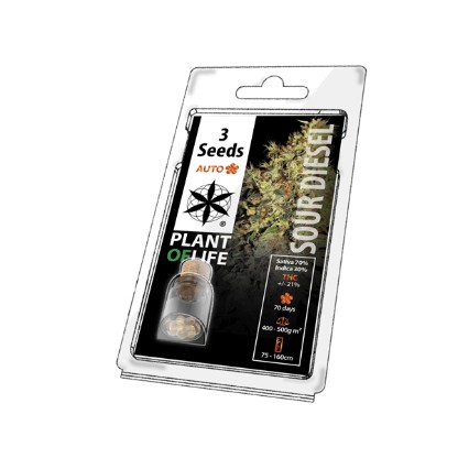 Plant of Life Sour Diesel Auto - 3 Feminised Seeds