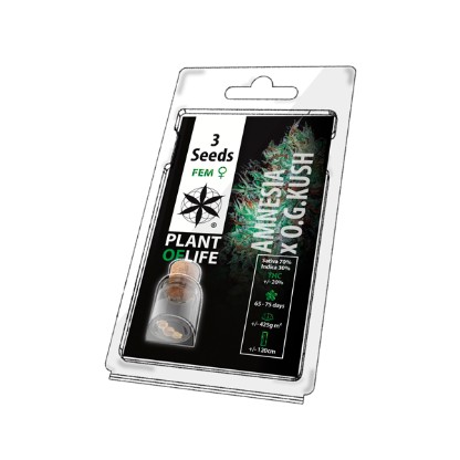 3PAMNOG Plant of Life Feminised Seeds