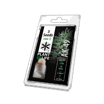 5PAK: Premium Plant of Life Seeds (5 Seeds)