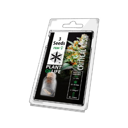 Plant of Life Seeds 3-Pack (3 Seeds)