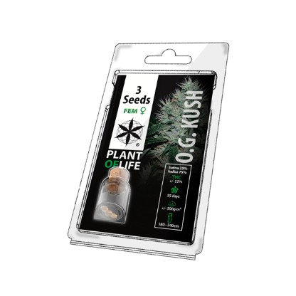3POG Feminised Cannabis Seeds