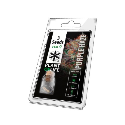 Plant of Life Purple Haze - 3 Feminized Seeds
