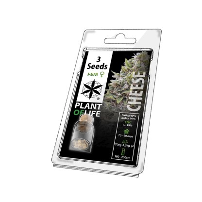 Plant of Life 3PCHE Feminized Cannabis Seeds