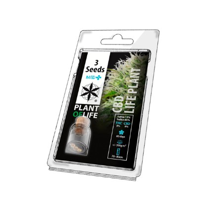 3PCBD - Premium 3-Pack Cannabis Seeds