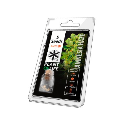 5PAMNA Premium Cannabis Seeds