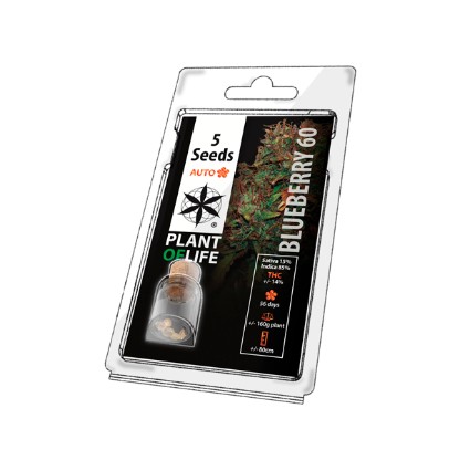 5PBLA Feminised Seeds - 5 Pack