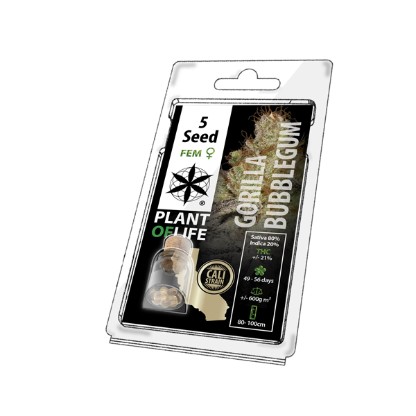 Plant of Life 5PGBU Feminised Seeds