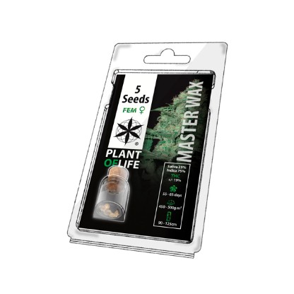5PMW Feminised Seeds
