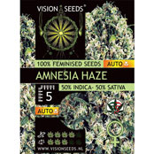 Vision Seeds 5VAMNA Feminized Cannabis Seeds