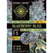 Vision Seeds Feminized Cannabis Seeds 5VBLA