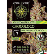Vision Seeds 3VCHOCO Feminised Cannabis Seeds