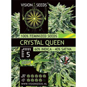 Crystal Queen Vision Seeds Feminized - 5 Seeds