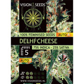 Vision Seeds Delhi Cheese Autoflowering Feminized - 5 Seeds