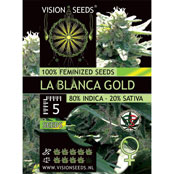 Vision Seeds Feminized Cannabis Seeds 5VLBG