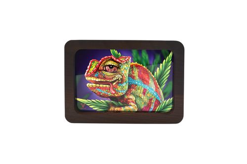 60% DISCOUNT - V Syndicate-3D High Def Wood Tray Small Cloud 9 Chameleon