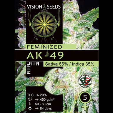 Vision Seeds 5VAK Feminized Cannabis Seeds