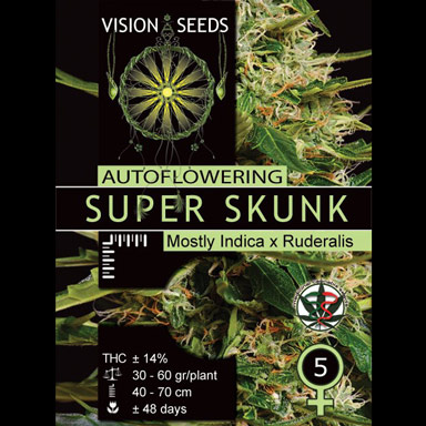 Vision Seeds Feminized Cannabis Seeds 3VSSA