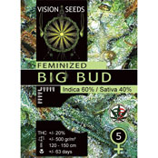 Vision Seeds Feminized Cannabis Seeds 5VBB