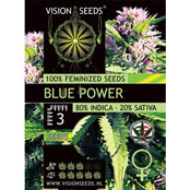 Vision Seeds Blue Power Feminized - 3 Seeds