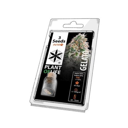 Plant of Life 3PGA Feminised Seeds