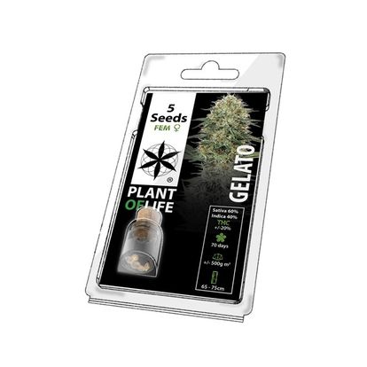 Plant of Life 5PG Feminised Seeds 5-Pack