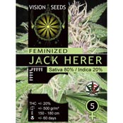Vision Seeds 5VJACK Feminized Cannabis Seeds