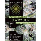 Vision Seeds Lowryder Feminized Auto-flowering - 3-pack