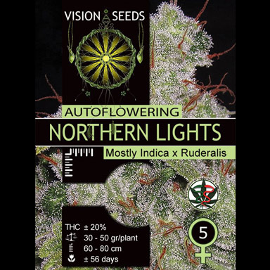 Vision Seeds Feminized Cannabis Seeds 3VNLA