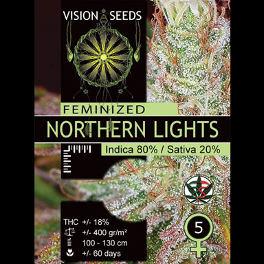 Vision Seeds Feminized Cannabis Seeds 3VNL