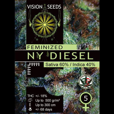 Vision Seeds Feminized Cannabis Seeds