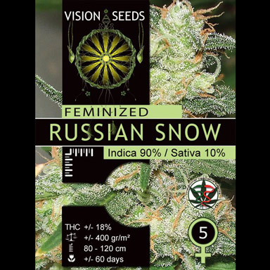 Vision Seeds 3VRUSSIAN Feminized Cannabis Seeds