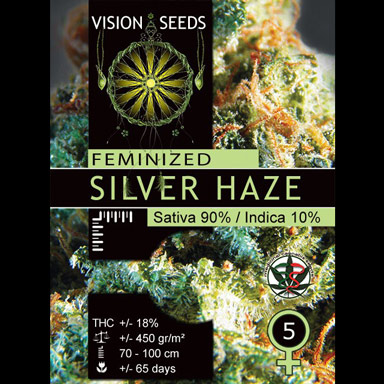 Vision Seeds Feminized Cannabis Seeds 3VSILVER