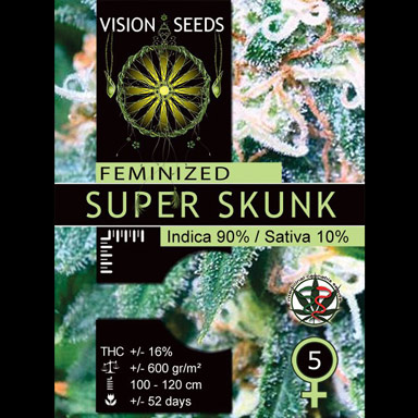 Vision Seeds Feminized Cannabis Seeds 3VSS