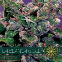 Vision Seeds Feminized Cannabis Seeds 3VLBGA