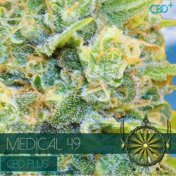 Vision Seeds 3VMEDICAL Feminized Cannabis Seeds
