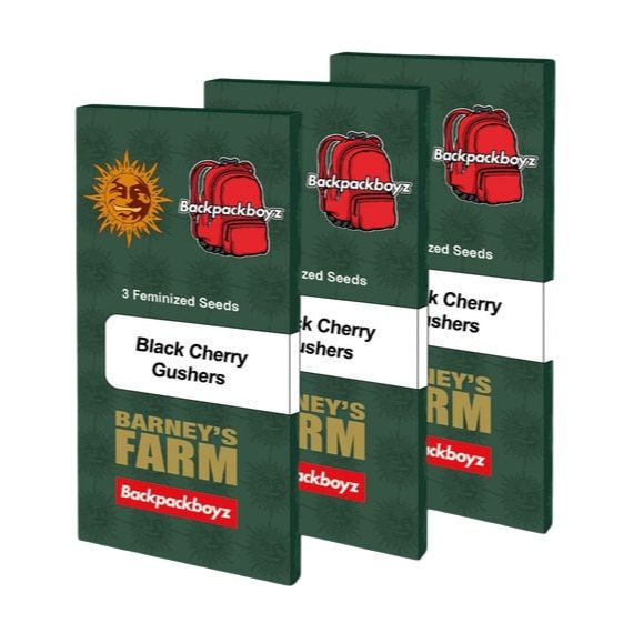 Barney's Farm 3BBCG Feminized Cannabis Seeds