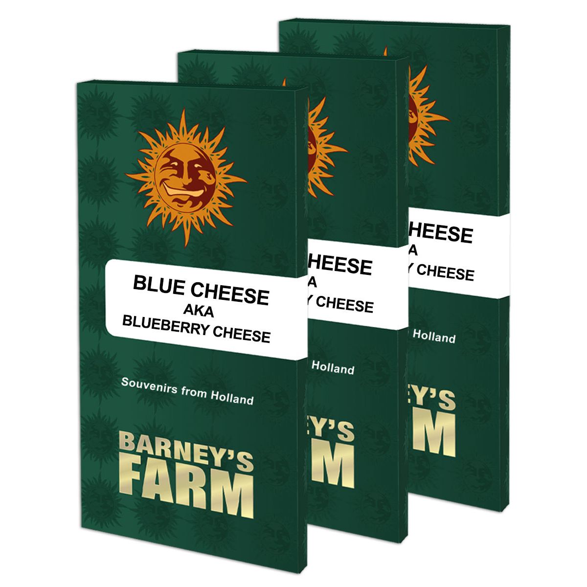 Barney's Farm 5BBC Feminized Cannabis Seeds
