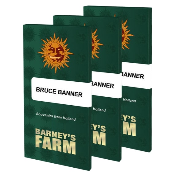 Barney's Farm 5BBB Feminized Cannabis Seeds