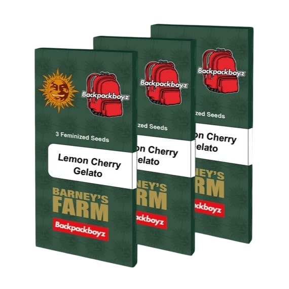 Barney's Farm 3BLCG Feminized Cannabis Seeds