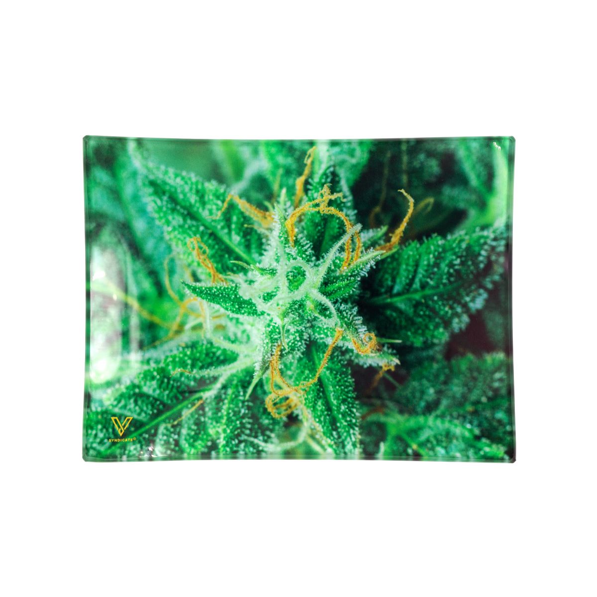 V-Syndicate Glass Rolling Tray Small - AK 47 (16x12cm)
