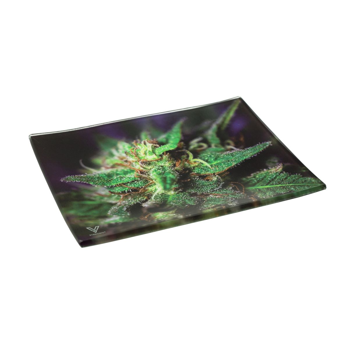 84% DISCOUNT - V-SYNDICATE GLASS ROLLING TRAY SMALL "BLUE DANK"