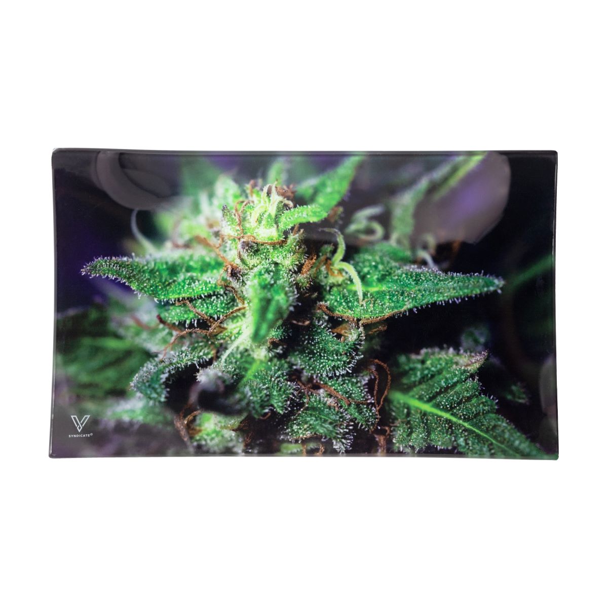 V-SYNDICATE GLASS ROLLING TRAY LARGE "BLUE DANK"