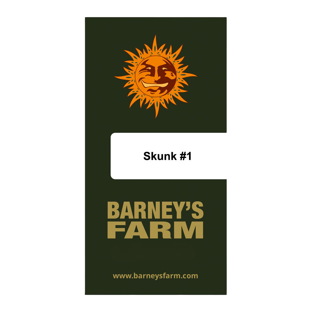 Barney's Farm Skunk #1 Feminised Seeds - 3 Pack
