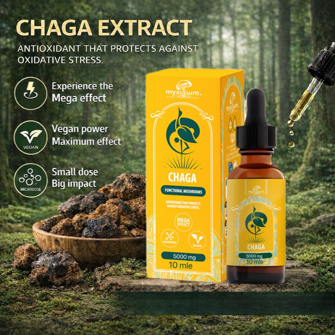OCHAGA-B Myxilluim Functional Mushrooms