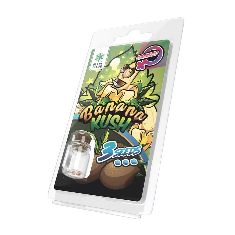 Plant of Life 3PBK Feminised Cannabis Seeds