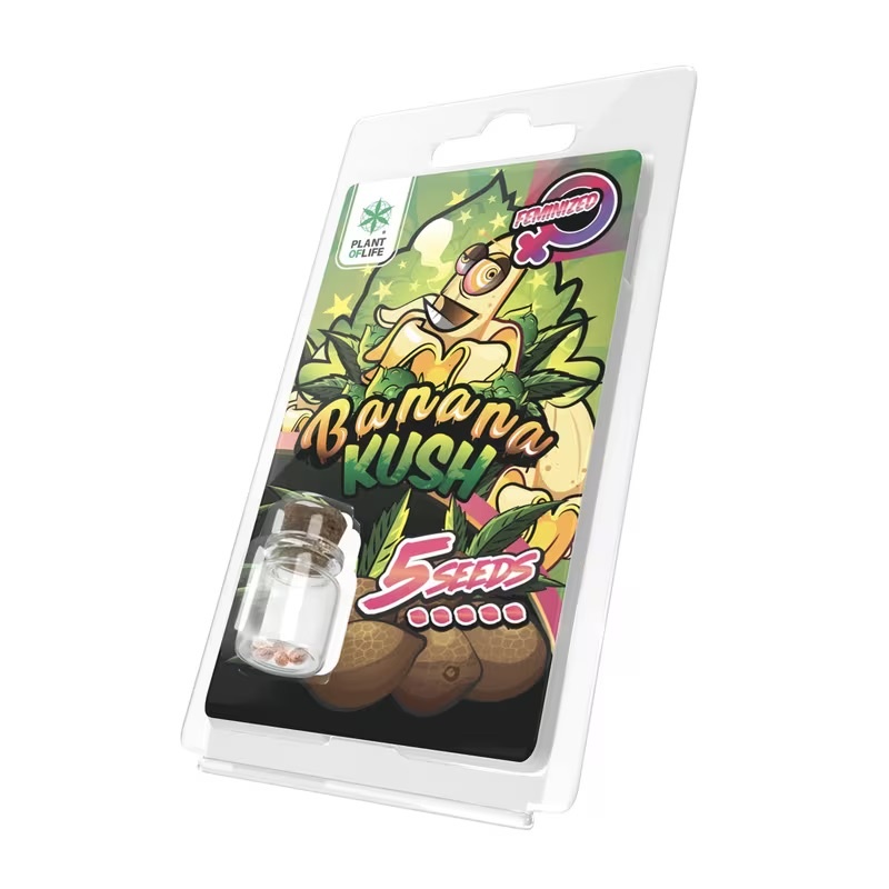 Plant of Life 5 Feminized Seeds Pack - Premium