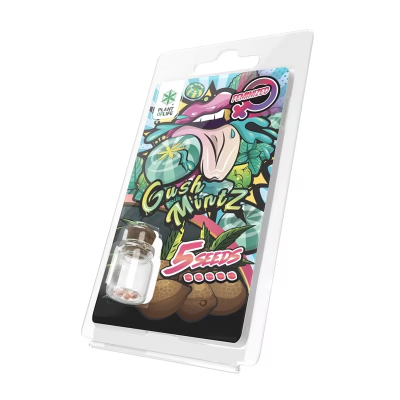 Plant of Life Gush Mintz - 5 Feminised Seeds
