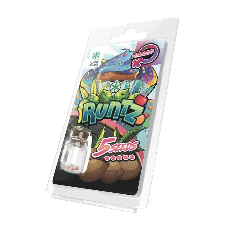 Plant of Life 5PR Feminised Cannabis Seeds (5-pack)